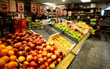 Introduction of the Fresh Supermarket Racks