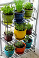 Create a herb garden from an old vegetable rack